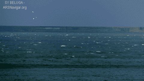 P1020853_480x270