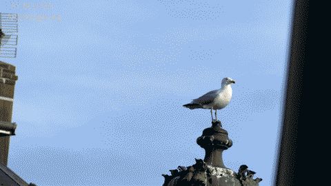 P1030012_480x270