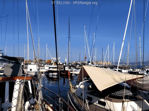 IMG_3815_480x360