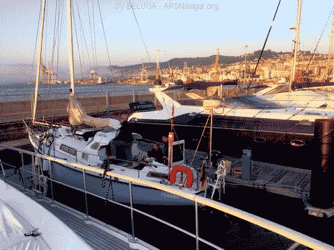 IMG_3854_480x360