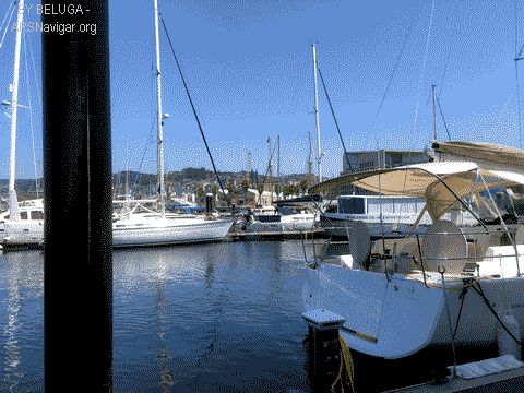 IMG_3864_480x360
