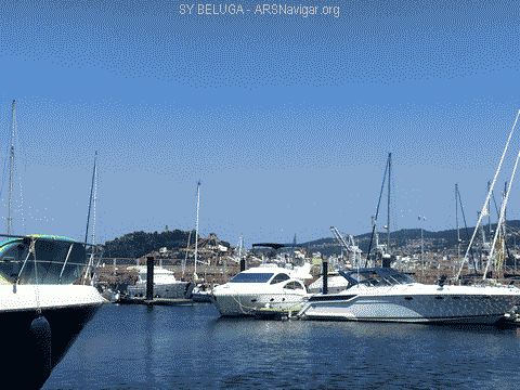 IMG_3870_480x360