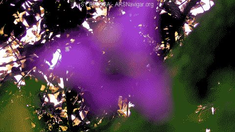 P1070302_480x270