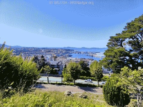 IMG_20220918_141932_480x360