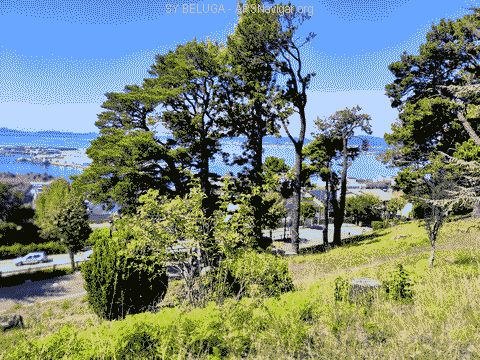 IMG_20220918_142034_480x360