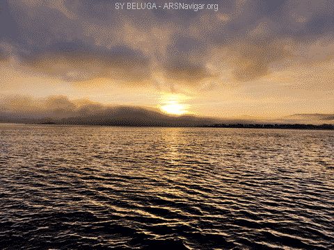 IMG_20220922_084553_480x360