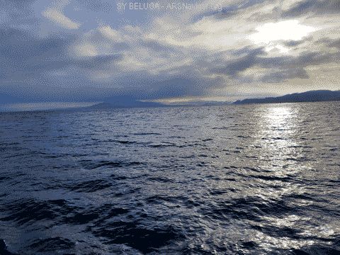 IMG_20220922_094624_480x360