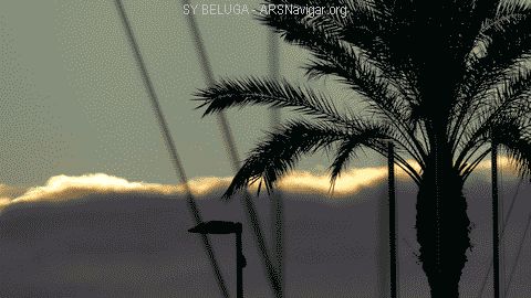 P1080418_480x270