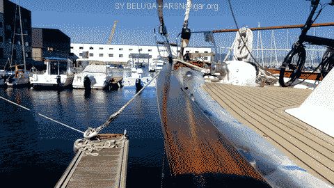 P1080504_480x270