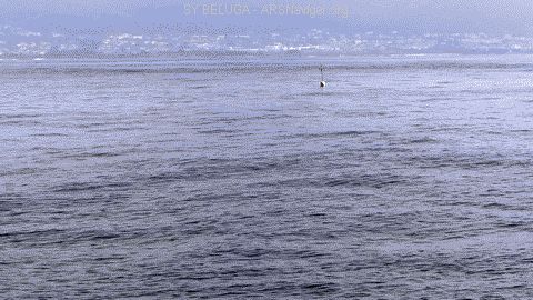 P1080512_480x270