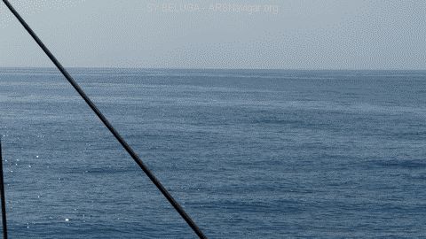 P1080515_480x270
