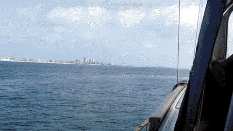 P1080526_480x270