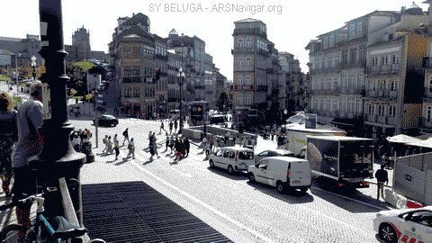 P1080559_480x270
