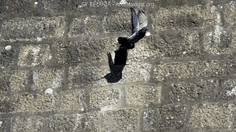 P1080566_480x270