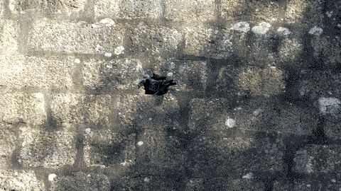 P1080568_480x270