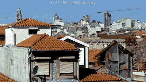 P1080571_480x270