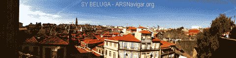 P1080572_480x118