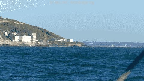 P1080603_480x270