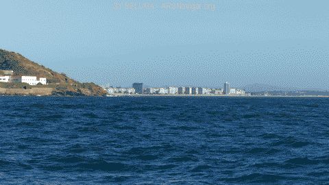 P1080605_480x270