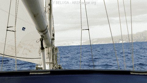 P1100691_480x270
