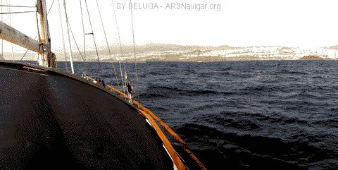 P1100717_480x241