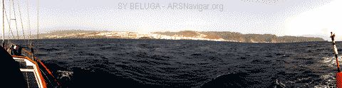 P1100718_480x124