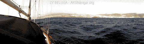 P1100719_480x147