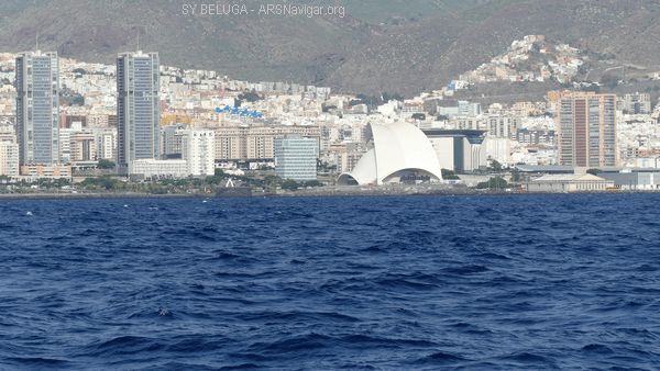 P1100720_600x338