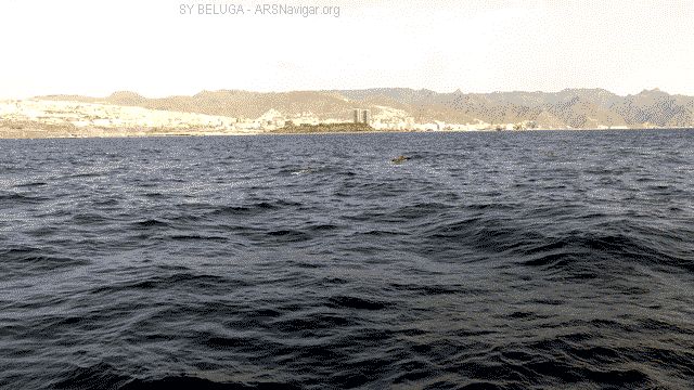 P1100729_640x360