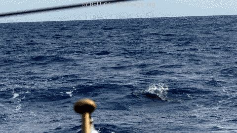P1100737_480x270