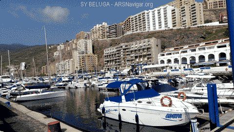 P1100751_480x270