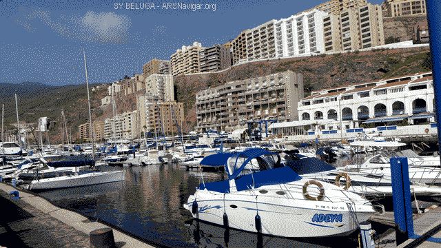 P1100751_640x360
