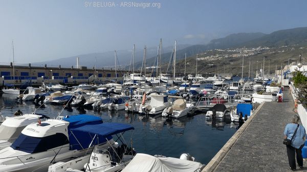 P1100753_600x338