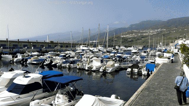 P1100753_640x360