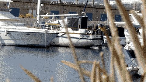 P1100755_480x270