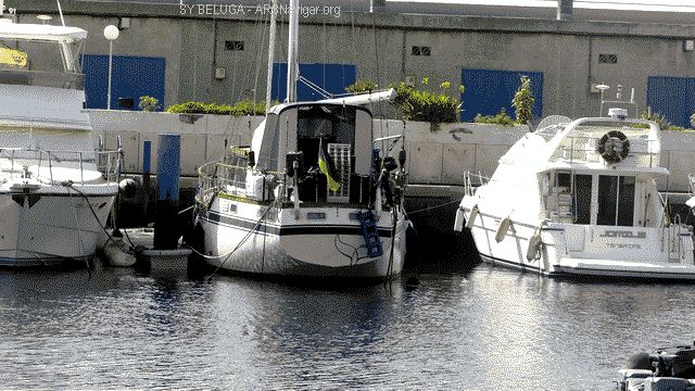 P1100758_640x360