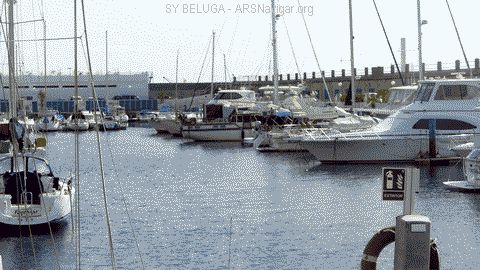 P1100762_480x270