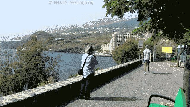 P1100771_640x360