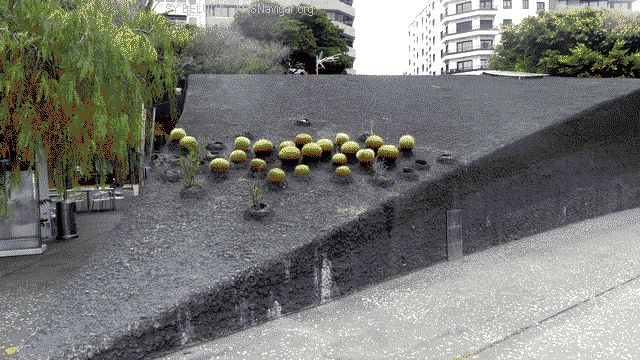 P1100823_640x360