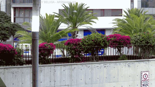 P1100828_640x360