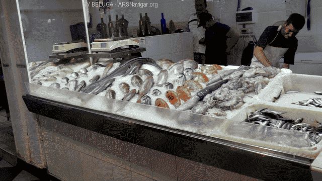 P1100845_640x360