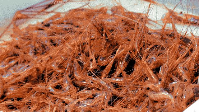 P1100849_640x360