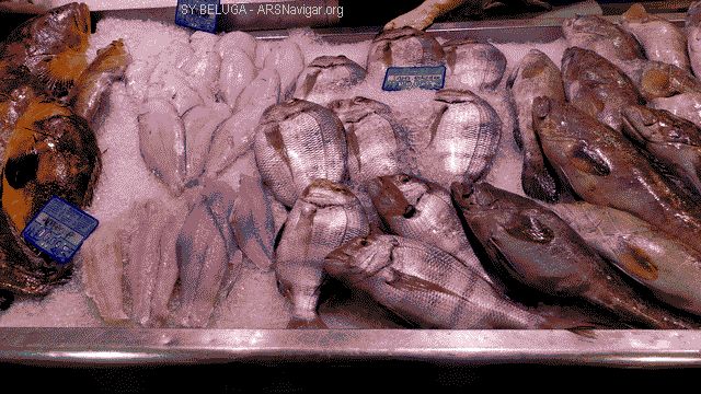 P1100854_640x360