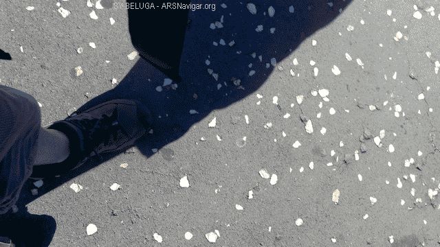 P1100864_640x360