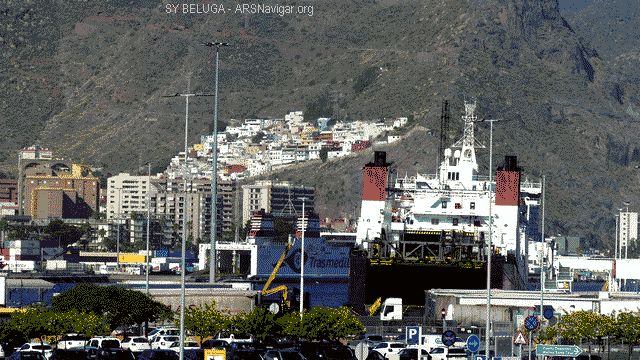 P1110003_640x360