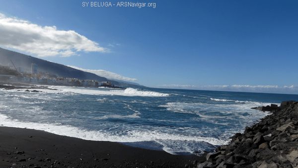 P1110019_600x338