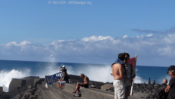 P1110021_600x338