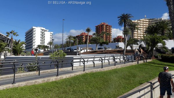 P1110040_600x338