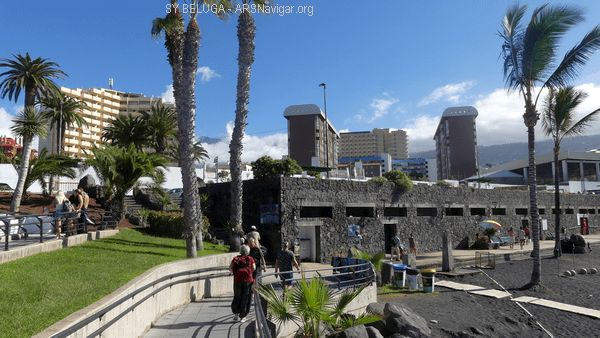 P1110041_600x338