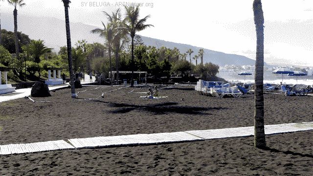 P1110043_640x360